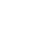 Flutter App Development